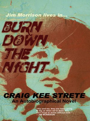 cover image of Burn Down the Night